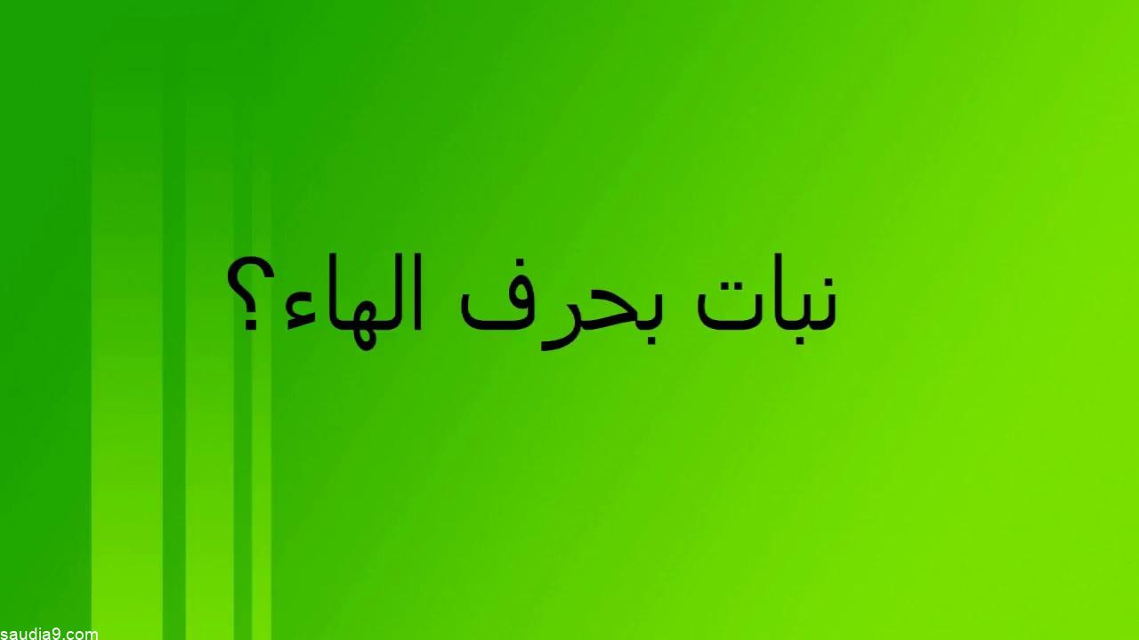 نبات بحرف الهاء