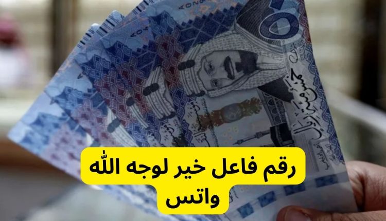 رقم شيخ مفتي واتس